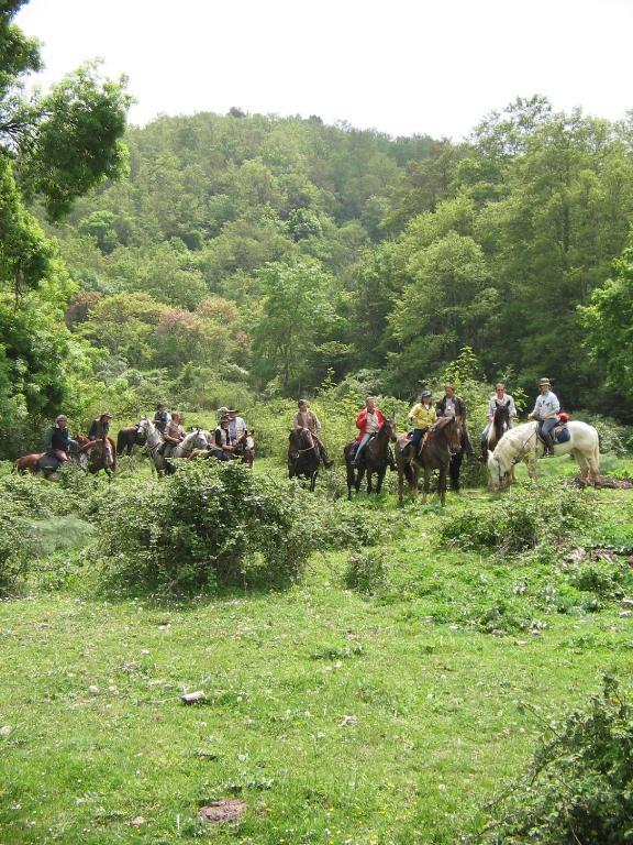 Agriturismo Casale Bonaparte Βίλα Cellere Εξωτερικό φωτογραφία