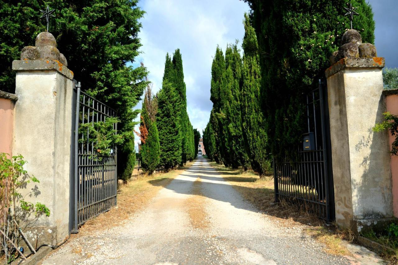 Agriturismo Casale Bonaparte Βίλα Cellere Εξωτερικό φωτογραφία